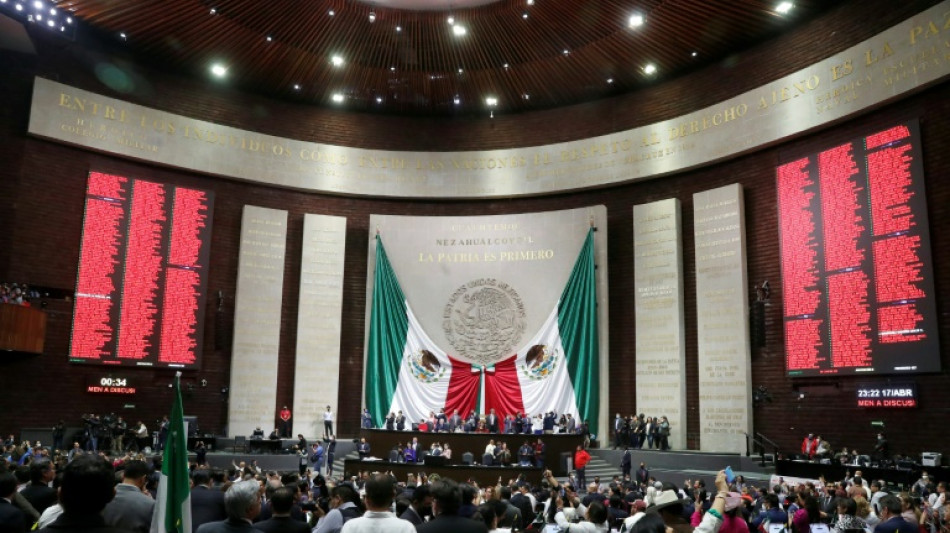 M&eacute;xico lanza la nacionalizaci&oacute;n de su litio  