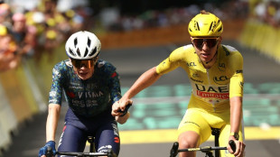 La 12e &eacute;tape du Tour&nbsp;de France: retour sur le plat