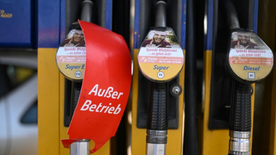 Alemania recurre al carb&oacute;n ante la disminuci&oacute;n de gas ruso