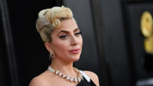 Six ans de prison pour un deuxi&egrave;me ravisseur des chiens de Lady Gaga