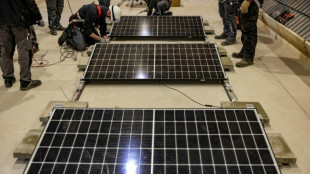 Bundeswirtschaftsminister Habeck l&auml;dt zum zweiten Solar-Gipfel ein 