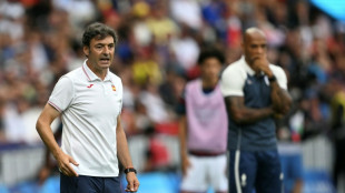 El espa&ntilde;ol Santi Denia, nuevo seleccionador de Rep&uacute;blica Checa