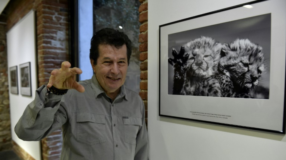 Montrer en images l'impact de l'humain sur la nature, pr&eacute;cieuse et fragile