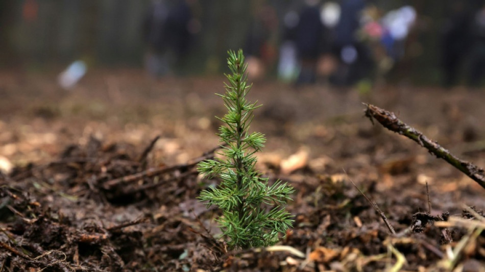 La s&eacute;cherie de La Joux, un coffre-fort &agrave; graines pour la for&ecirc;t fran&ccedil;aise