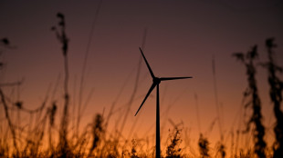 Bundesnetzagentur: Deutlicher Ausbau von Solar- und Windenergie in 2025