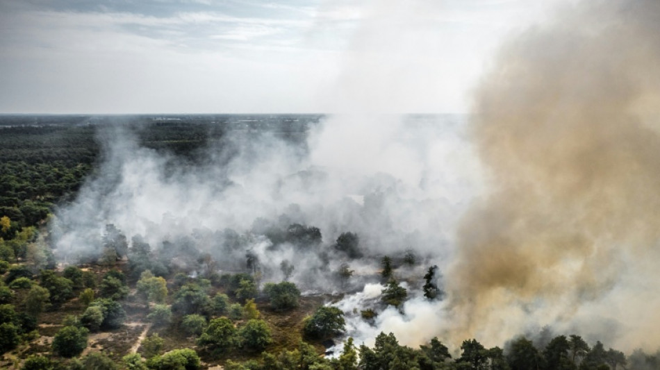 Forest fire spreads in Dutch nature reserve