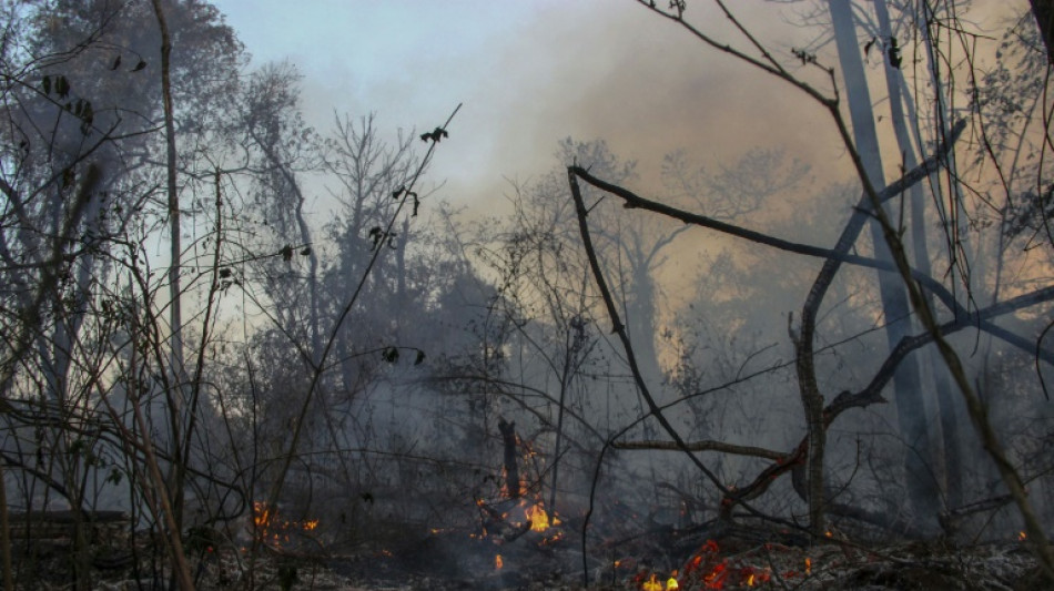 Inc&ecirc;ndios n&atilde;o d&atilde;o tr&eacute;gua no pa&iacute;s