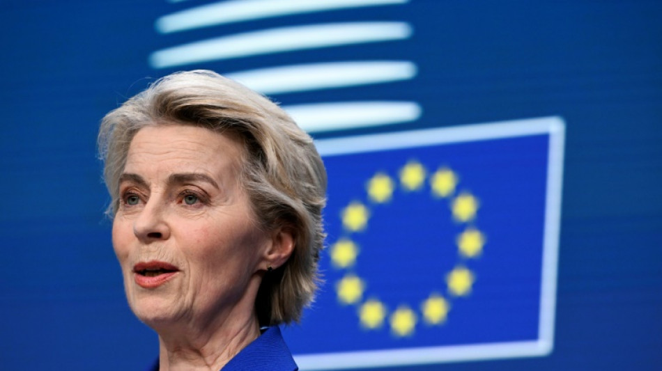 Von der Leyen er&ouml;ffnet EU-Dialog mit Autobauern und Zulieferern