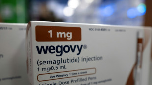 Novo Nordisk to slash prices of weightloss drugs in US