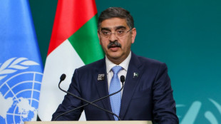 Pakist&aacute;n proh&iacute;be las fiestas de A&ntilde;o Nuevo en solidaridad con Gaza