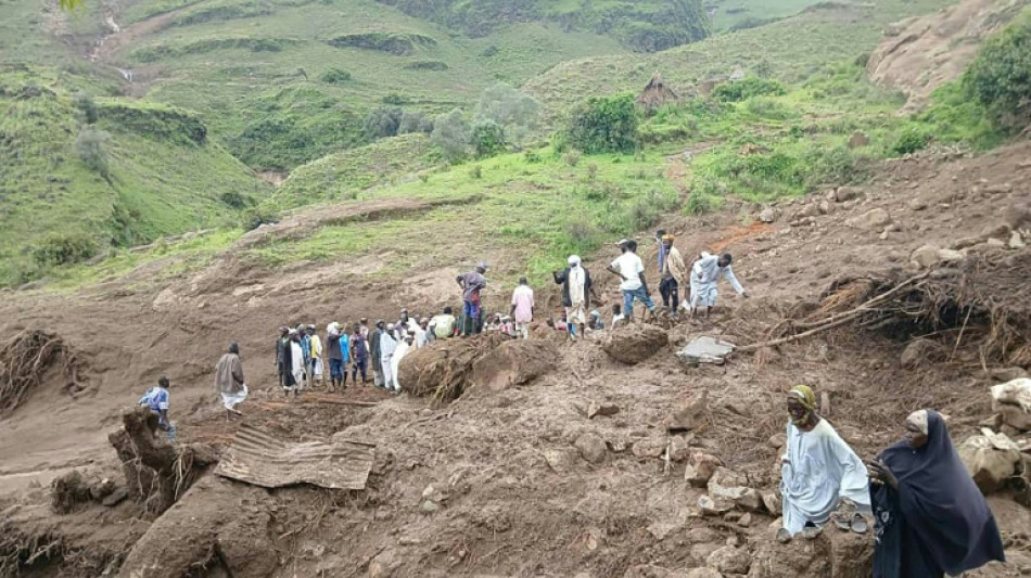 Landslide flattens Sudan village, kills more than 1,000: armed group