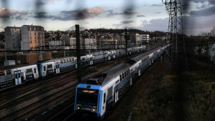 Une "nouvelle donne" &agrave; 100 milliards d'euros pour le ferroviaire