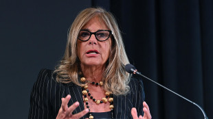 Marcegaglia, 'l'auto pu&ograve; innescare una crisi importante'