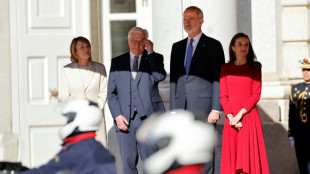 Steinmeier zu Staatsbesuch in Spanien - Bundespräsident am Freitag in Guernica