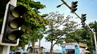 Un mono provoca un apag&oacute;n general en Sri Lanka
