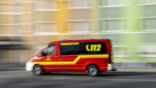 Auto prallt mit "großer Wucht" gegen Bäume: Zwei Tote bei Unfall in Niedersachsen