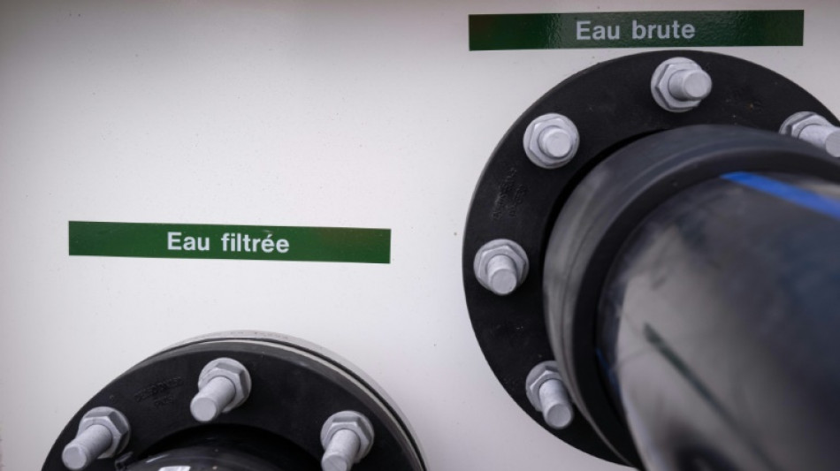 Hauts-de-France: une ONG alerte sur une pollution de l'eau au fongicide