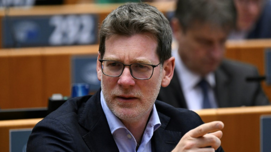 Gripe avi&aacute;ria no Brasil: deputado europeu alerta sobre sistema de controle deficiente