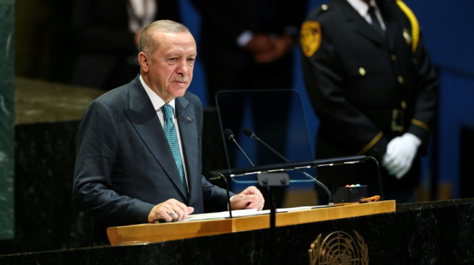 Un tribunal turco ordena liberar a un caricaturista acusado de insultar al presidente