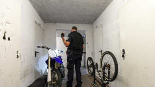 Rod&eacute;o dans le Val-d'Oise: la fillette gri&egrave;vement bless&eacute;e sortie du coma