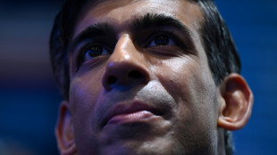 Sunak kickstarts UK election season at Tory conference