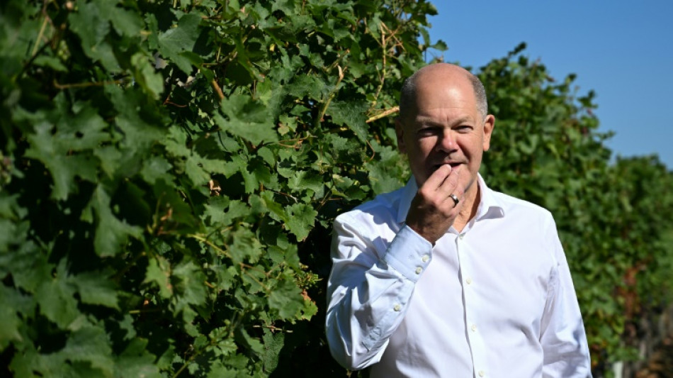 Scholz ruft B&uuml;rgerinnen und B&uuml;rger zu R&uuml;ckbesinnung auf Gemeinsamkeiten auf