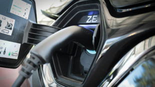 Markt f&uuml;r gebrauchte E-Autos w&auml;chst - Preise f&uuml;r einige Modelle sinken deutlich