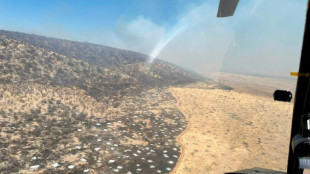 Namibia envía militares para combatir un incendio en una importante reserva de animales