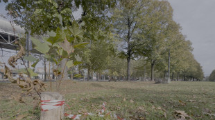 Accoltellato e ucciso in un parco a Torino, fermato il presunto assassino