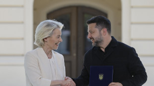 Von der Leyen, 'progetto Ue-Ucraina per nostre difese antibalistiche'