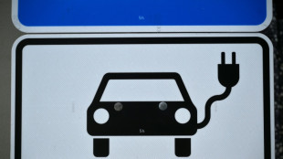 Francia y Alemania oficializan un acuerdo que ralentiza la transici&oacute;n total a los veh&iacute;culos el&eacute;ctricos