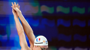 Popovici, Quadarella mine more gold at Europeans as Marchand flexes in butterfly