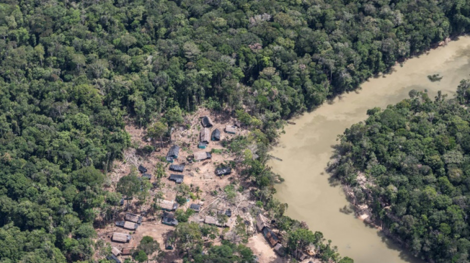 Venezuela: op&eacute;ration militaire pour expulser 10.000 mineurs ill&eacute;gaux d'Amazonie