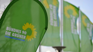 Gr&uuml;nen-Politiker Str&ouml;bele 83-j&auml;hrig gestorben
