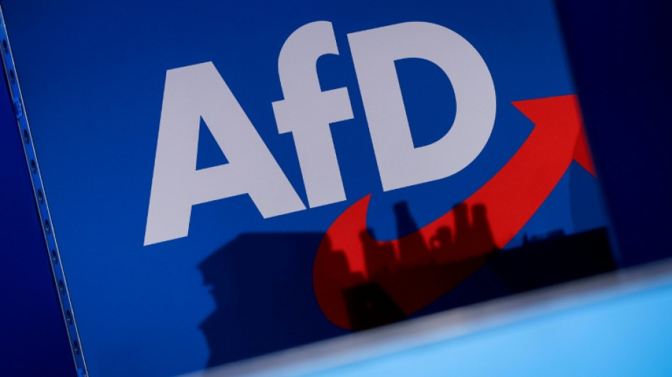 AfD-Verwandtenaff&auml;re: Weidel f&uuml;r Regel&auml;nderungen per Gesetz