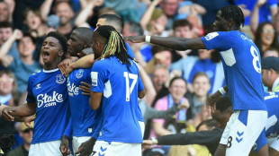 Everton garante perman&ecirc;ncia na Premier League; Leeds e Leicester s&atilde;o rebaixados
