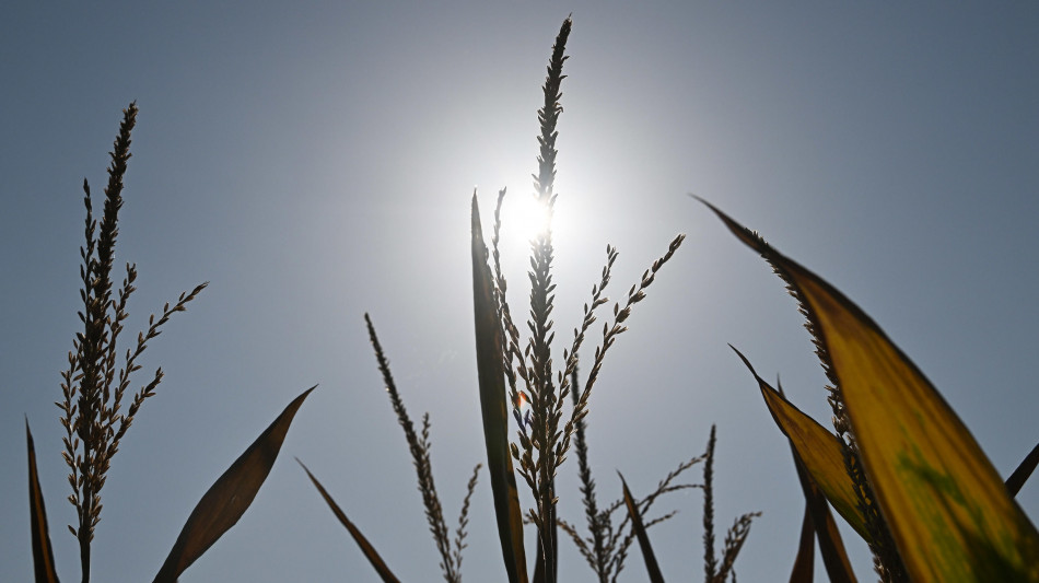 Siccit&agrave;, costi triplicati per l'Italia con 2 gradi in pi&ugrave;