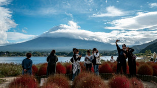 Tourists hit record in Japan, despite plunge from China