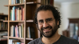 Egypt frees activist Alaa Abdel Fattah after Sisi pardon