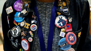 Les d&eacute;mocrates pr&ecirc;ts &agrave; se faire les "ap&ocirc;tres" de Biden pour un second mandat