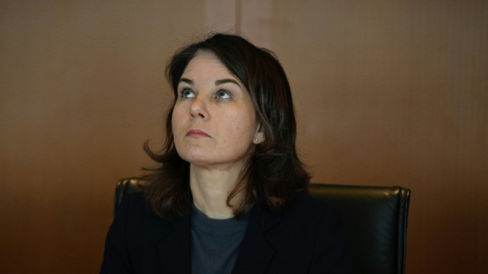 Baerbock trifft am Freitag Staatsspitzen Georgiens 