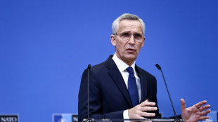 Stoltenberg: Berlin muss selbst über Patriots für Ukraine entscheiden