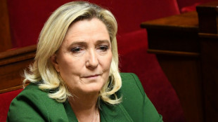 Ing&eacute;rence &eacute;trang&egrave;re et pr&ecirc;t russe au RN: Marine Le Pen entendue &agrave; l'Assembl&eacute;e