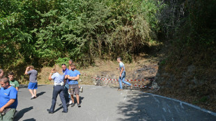 Spettatore travolto durante una gara automobilistica, &egrave; grave