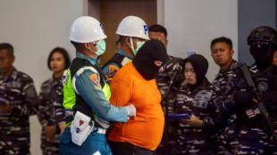 Indonesia incauta 1,3 toneladas de ketamina