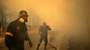 Grecia combate varios frentes de incendios en medio de fuertes vientos