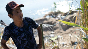 Foragers and popsicle sellers: a micro-economy among US migrants