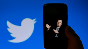 Musk will zun&auml;chst Nachfolge kl&auml;ren und dann als Twitter-Chef zur&uuml;cktreten