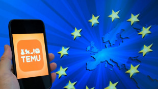 EU fines Temu 200 mn euros over illegal products