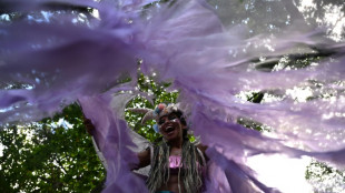 "Le carnaval est là": à Rio, que la fête commence